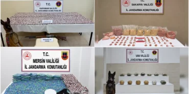 İçişleri Bakanlığı koordinesinde 35 ilde düzenlenen narkotik operasyonlarında 172 zanlı tutuklandı