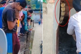 Hindistan'da bir evin klozetinden çıkan dev kobra bölge sakinlerini paniğe sevk etti