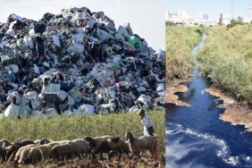 İthal Plastik Atıklar Çukurova’nın Tarım Kanallarını ve Akdeniz Kıyılarını Tehdit Ediyor