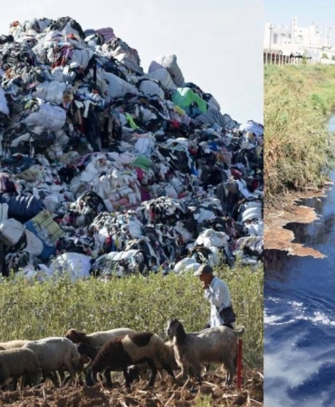 İthal Plastik Atıklar Çukurova’nın Tarım Kanallarını ve Akdeniz Kıyılarını Tehdit Ediyor