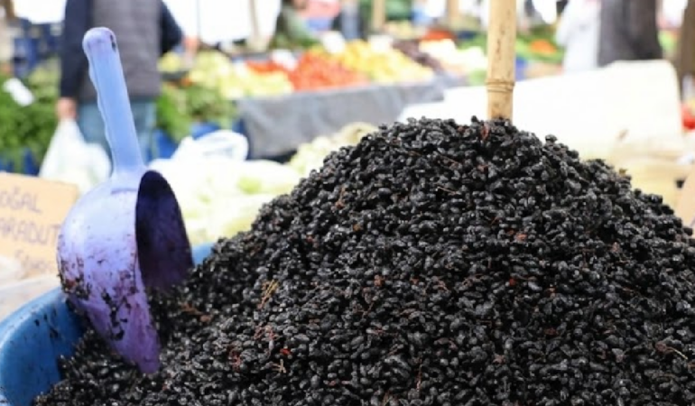 Sivas'ın Dağlık Kesimlerinde Toplanan Karamuk Meyvesi Farklı Tüketim Biçimleriyle Dikkat Çekiyor
