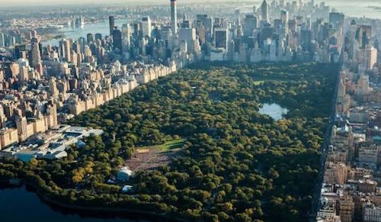 New York Central Park’ta Cinsel Saldırıya Uğrayan Kadın Hastaneye Kaldırıldı